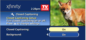 Closed Captioning and Background Options display