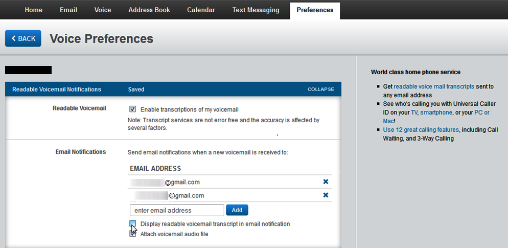 The Voice Preferences screen appears.