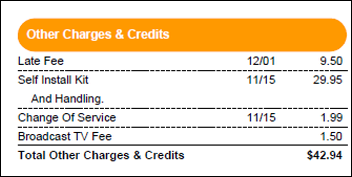 Other bill charges and credits are shown.