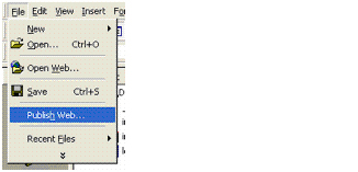 File Tab - Select Publish Web