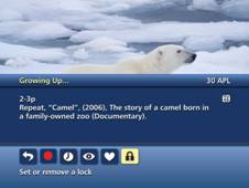 The lock icon is selected on a screen featuring a program summary