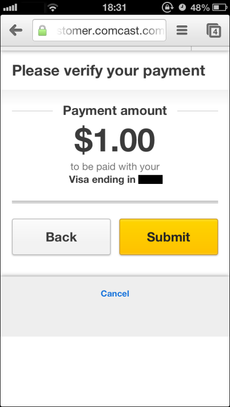 Verify payment window showing amount of payment entered