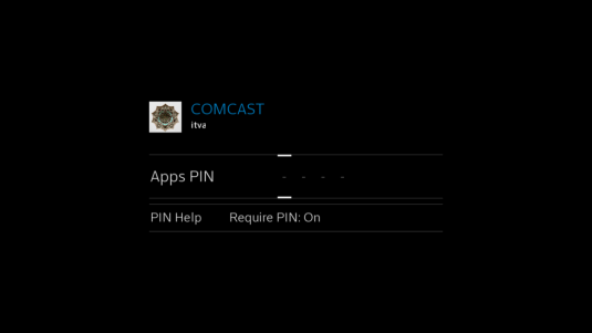 The User’s PIN can be entered on this screen. The Help function and the option to require use of a PIN are also available.