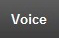 The tab for voice is depicted