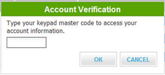 The account verification screen is displayed.